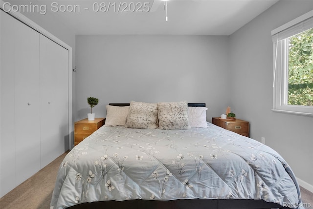 9851 Atwood Dr, South Lyon, MI 48178 - photo 36