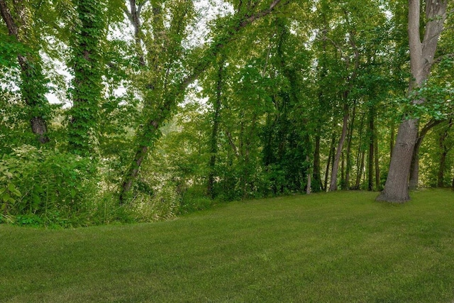 4763 Charlestown Dr, Stevensville, MI 49127 - photo 48