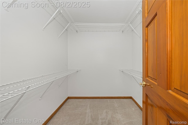 3876 Elder Rd S, West Bloomfield, MI 48324 - photo 29