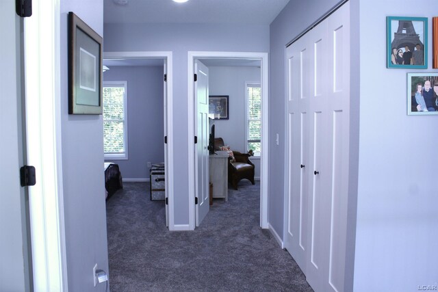 3199 Pender Ct, Adrian, MI 49221 - photo 28