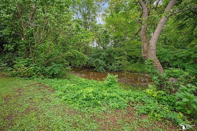 3434 S Otter Creek Rd, La Salle, MI 48145 - photo 27