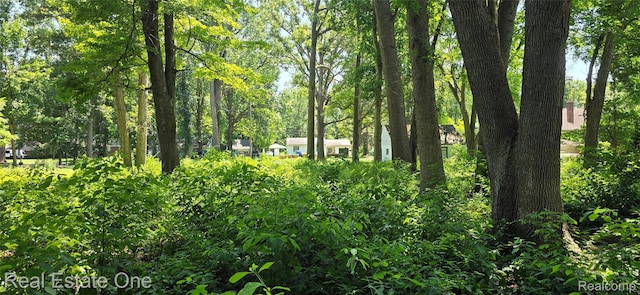21246 8 1/2 Mile Rd, Southfield, MI 48075 - photo 5