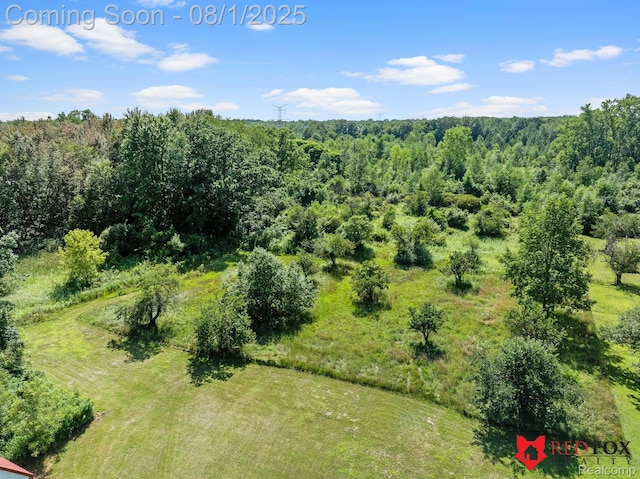 13425 N Lewis Rd, Clio, MI 48420 - photo 20