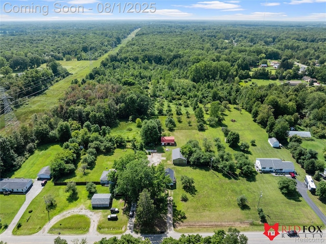 13425 N Lewis Rd, Clio, MI 48420 - photo 17
