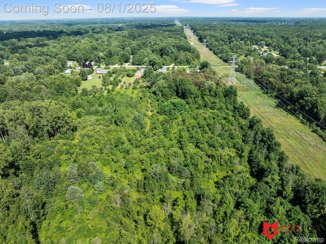 13425 N Lewis Rd, Clio, MI 48420 - photo 18