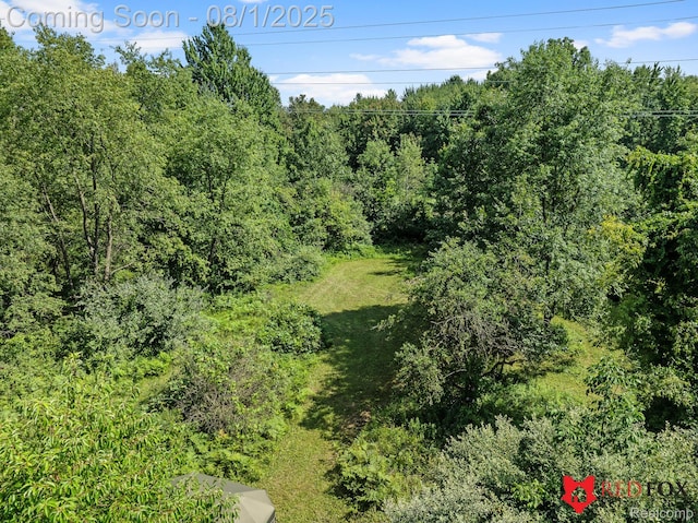 13425 N Lewis Rd, Clio, MI 48420 - photo 22