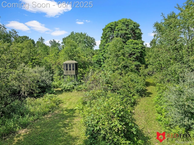 13425 N Lewis Rd, Clio, MI 48420 - photo 21