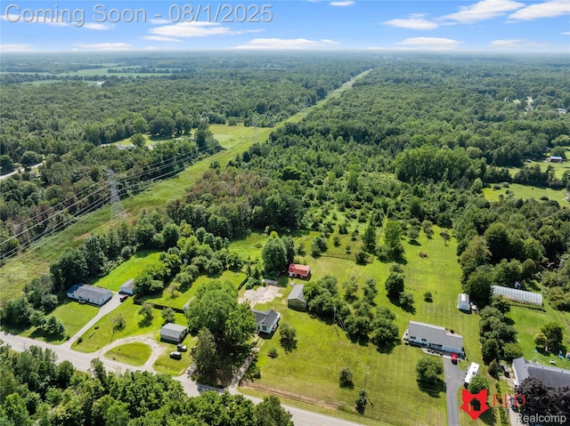 13425 N Lewis Rd, Clio, MI 48420 - photo 16