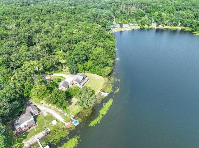 21534 Clear Lake Dr, Battle Creek, MI 49014 - photo 40