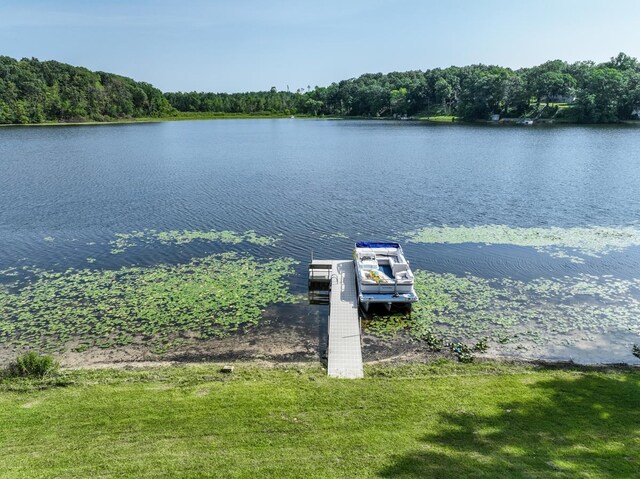21534 Clear Lake Dr, Battle Creek, MI 49014 - photo 39