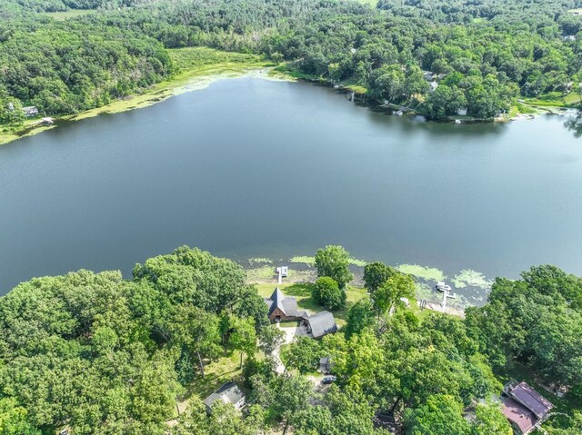 21534 Clear Lake Dr, Battle Creek, MI 49014 - photo 41