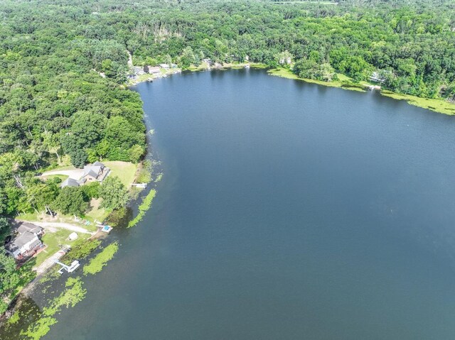 21534 Clear Lake Dr, Battle Creek, MI 49014 - photo 47