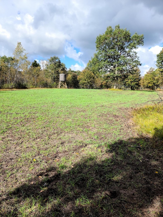 3985 Indian Trail Rd, Custer, MI 49405 - photo 44
