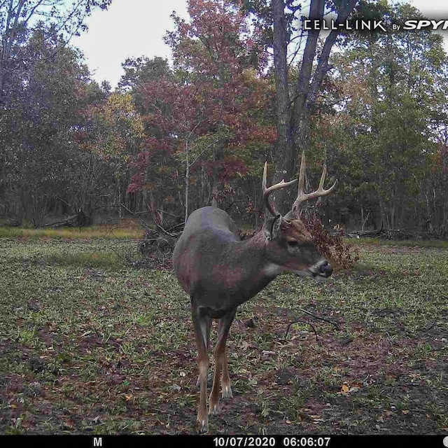 3985 Indian Trail Rd, Custer, MI 49405 - photo 50