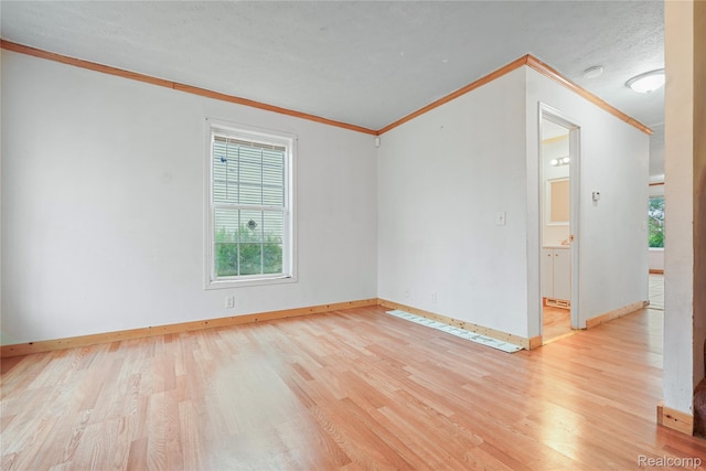 101 Stevens St, Highland Park, MI 48203 - photo 4