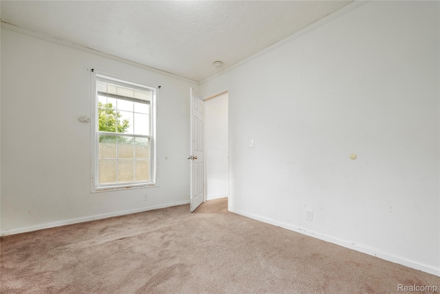 101 Stevens St, Highland Park, MI 48203 - photo 17