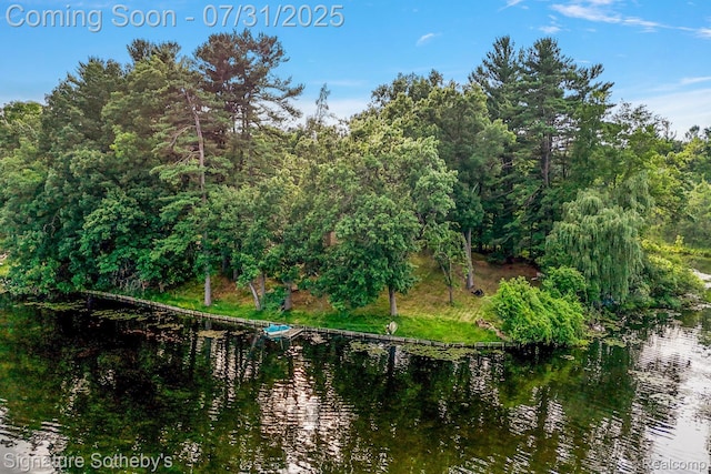 1035 Nakomis Trl, Lake Orion, MI 48362 - photo 2