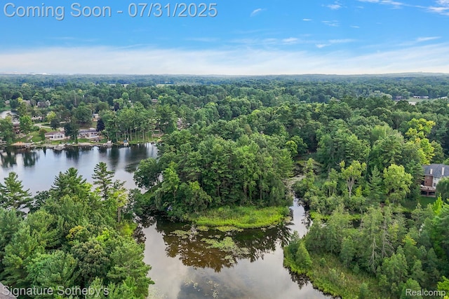 1035 Nakomis Trl, Lake Orion, MI 48362 - photo 4