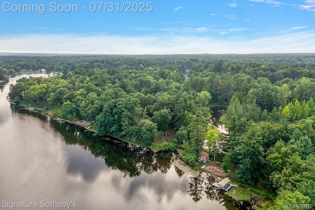 1035 Nakomis Trl, Lake Orion, MI 48362 - photo 5