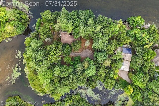 1035 Nakomis Trl, Lake Orion, MI 48362 - photo 6