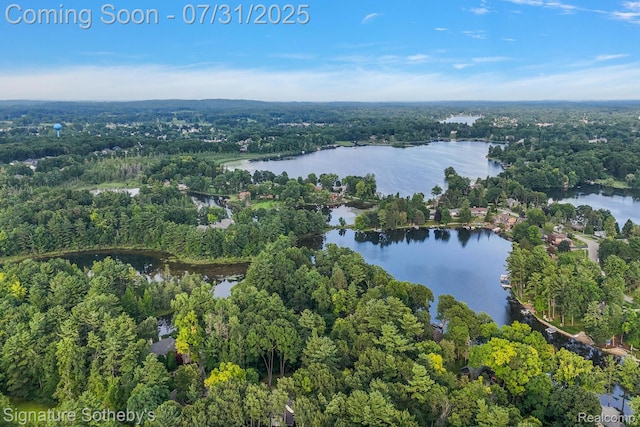 1035 Nakomis Trl, Lake Orion, MI 48362 - photo 7
