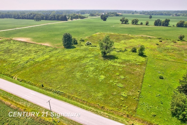 V/L N River Rd, Freeland, MI 48623 - photo 1