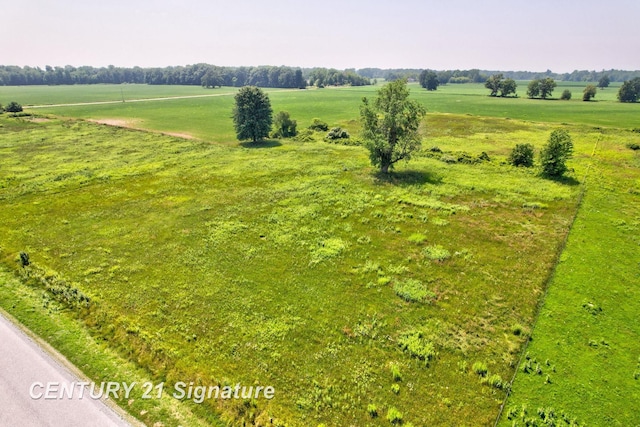 V/L N River Rd, Freeland, MI 48623 - photo 4