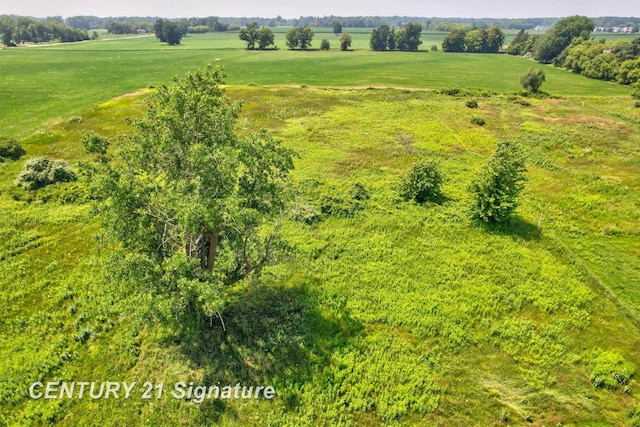 V/L N River Rd, Freeland, MI 48623 - photo 5