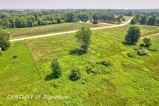 V/L N River Rd, Freeland, MI 48623 - photo 11
