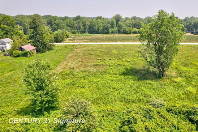 V/L N River Rd, Freeland, MI 48623 - photo 12