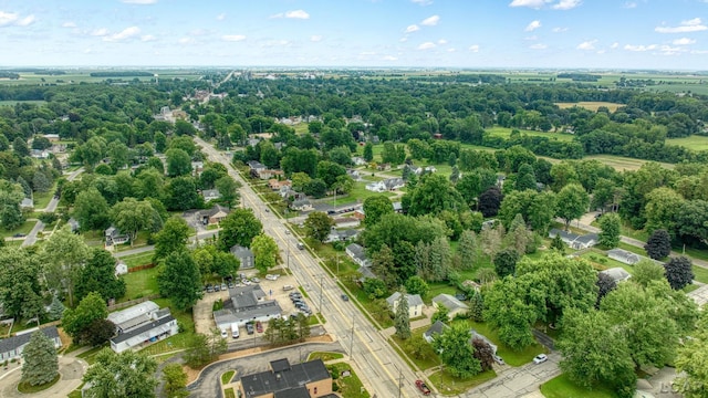 613 W Adrian St, Blissfield, MI 49228 - photo 40