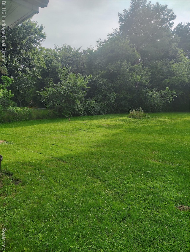 3019 Cashin Dr, Flint, MI 48506 - photo 4