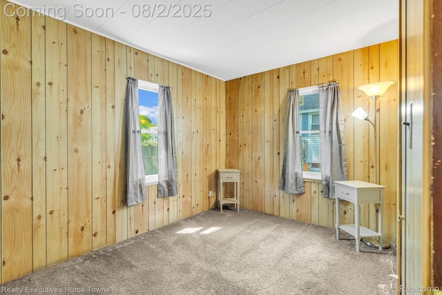 1420 Carleton St, Port Huron, MI 48060 - photo 22