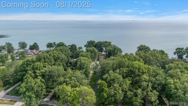 38292 Murdick Dr, New Baltimore, MI 48047 - photo 32