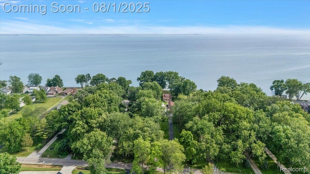38292 Murdick Dr, New Baltimore, MI 48047 - photo 33