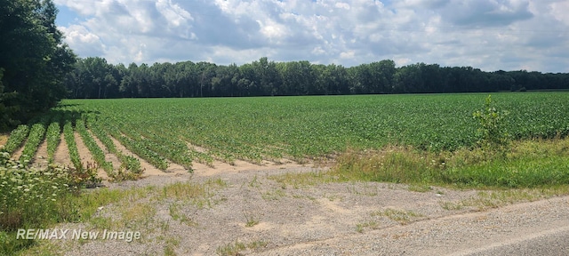 VL W Birch Run Rd, Burt, MI 48614 - photo 2