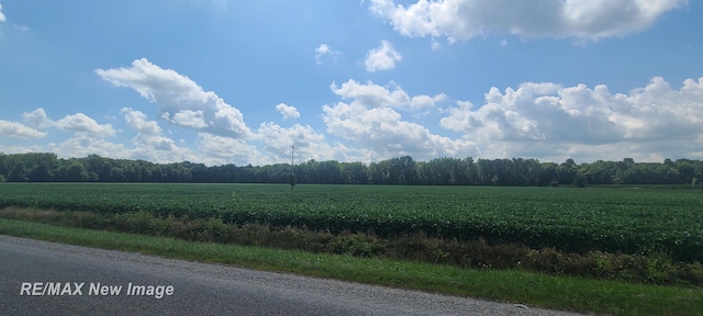 VL W Birch Run Rd, Burt, MI 48614 - photo 1
