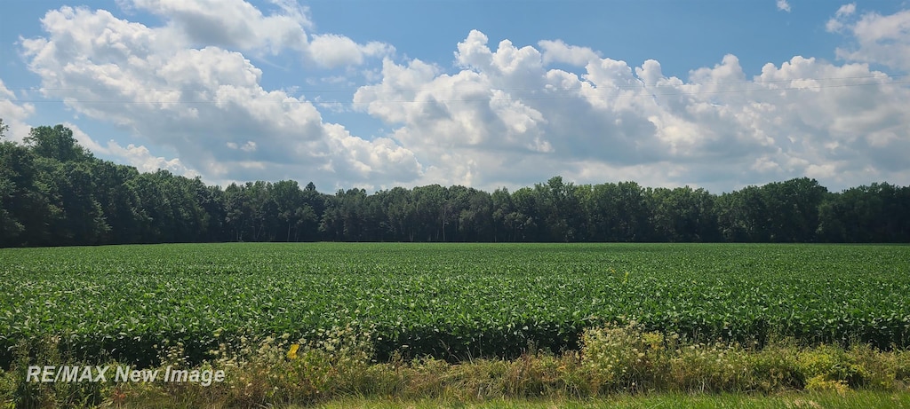 VL W Birch Run Rd, Burt, MI 48614 - photo 3
