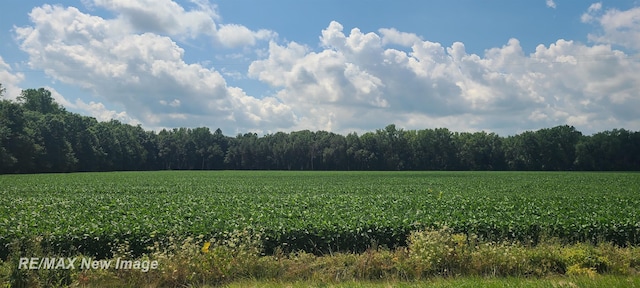 VL W Birch Run Rd, Burt, MI 48614 - photo 3