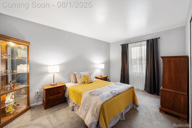 30924 Bramley Cir, New Hudson, MI 48165 - photo 13