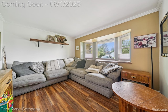 24055 Springbrook Dr, Farmington Hills, MI 48336 - photo 8