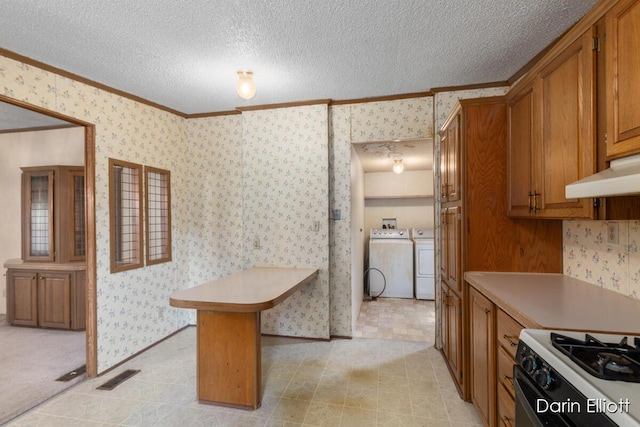 1133 Yeomans St Unit 87, Ionia, MI 48846 - photo 13