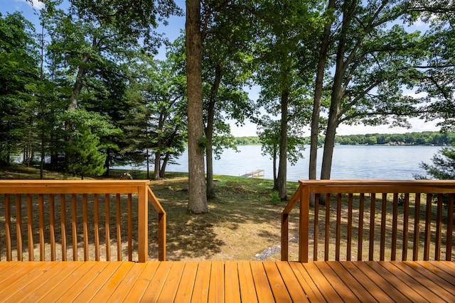 991 55th St, Pullman, MI 49450 - photo 32