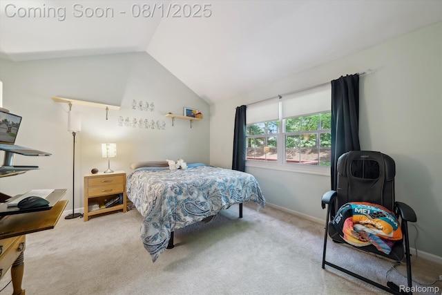 999 Hickory Dr, Brighton, MI 48116 - photo 27