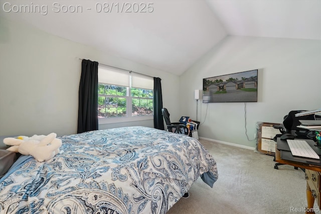 999 Hickory Dr, Brighton, MI 48116 - photo 26