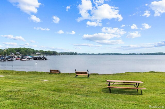 9076 Wildwood Lake Dr, Whitmore Lake, MI 48189 - photo 30