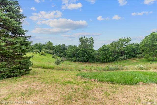 4536 Crandall Rd, Howell, MI 48855 - photo 44
