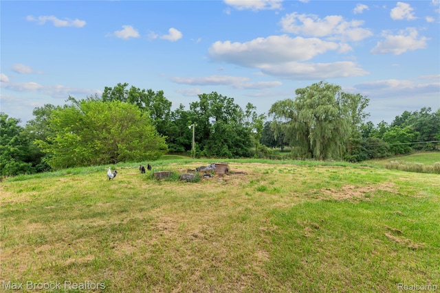 4536 Crandall Rd, Howell, MI 48855 - photo 49