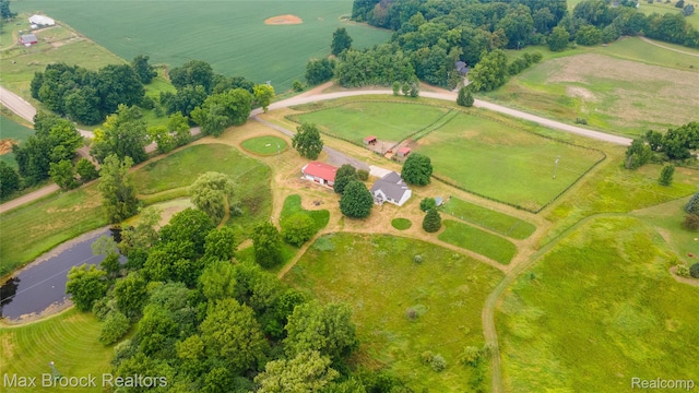 4536 Crandall Rd, Howell, MI 48855 - photo 86