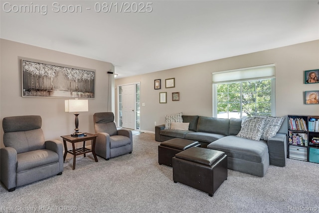 1480 Scotland Yard Dr, Commerce Twp, MI 48390 - photo 15